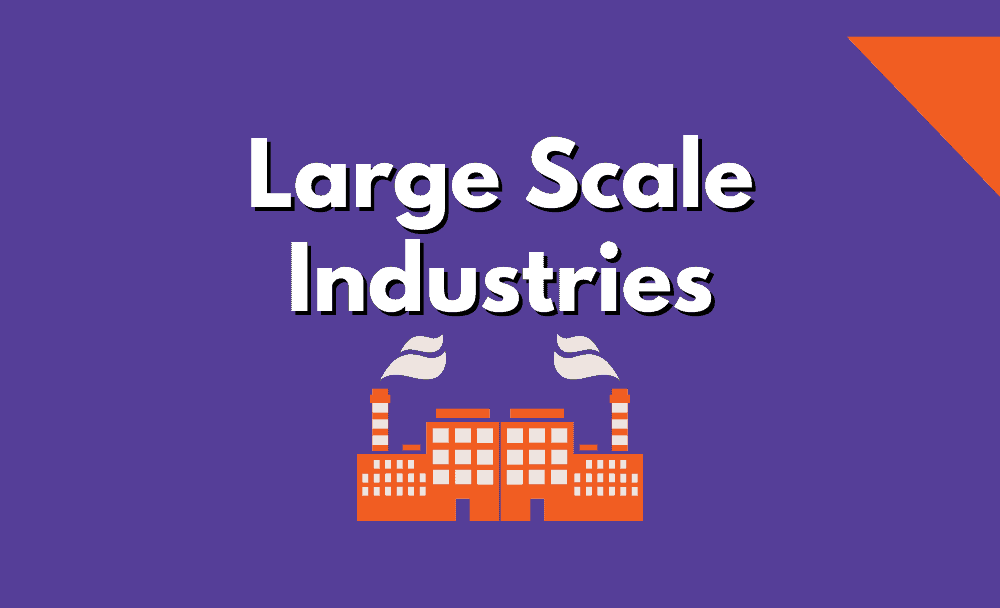 Large-Scale Industries – Definition, Advantages, and Examples