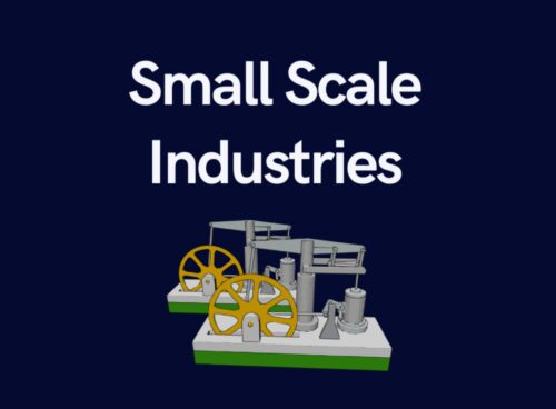 Small Scale Industries