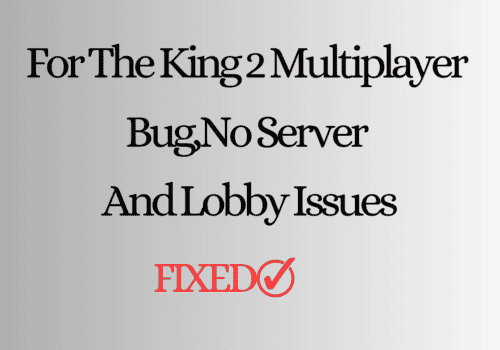 How to Fix For The King 2 Multiplayer Bug, No Server And Lobby Issues
