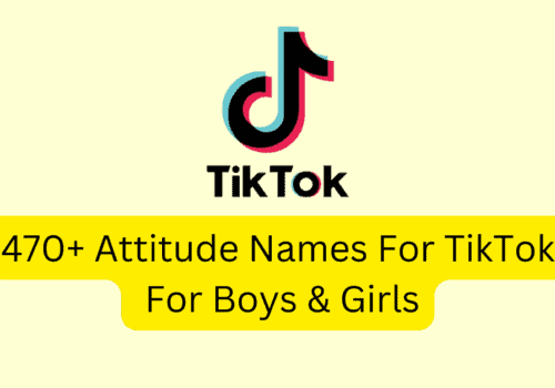470 Attitude Names For TikTok For Boys Girls