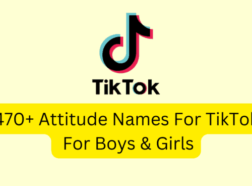 470+ Attitude Names For TikTok For Boys & Girls 5 470 Attitude Names For TikTok For Boys Girls