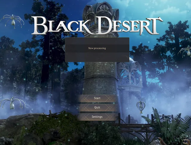 How To Fix BDO Stuck On Now Processing 2 BDO Stuck On Now Processing
