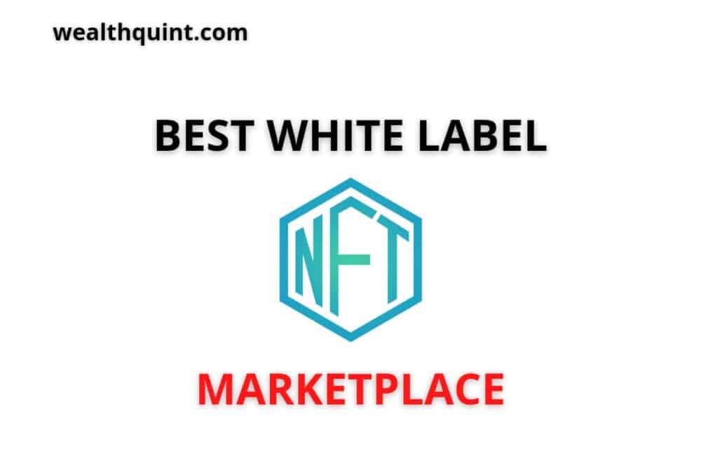 Best White Label NFT Marketplace