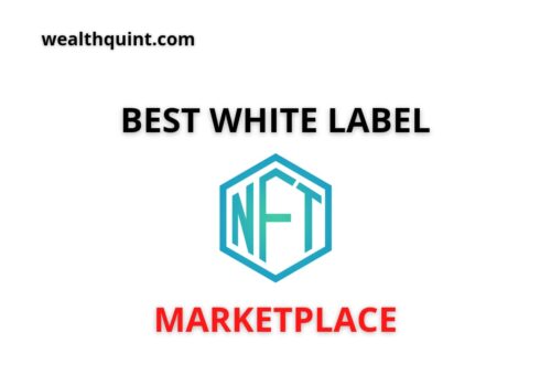 Best White Label NFT Marketplace