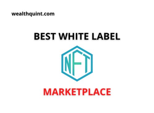 Best White Label NFT Marketplace