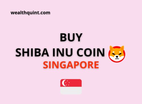 Buy Shiba Inu coin Singapore