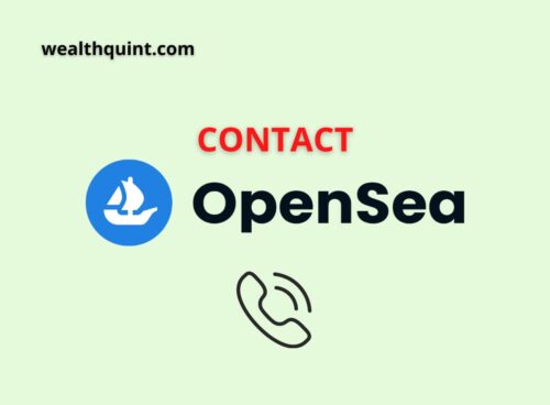 Contact OpenSea