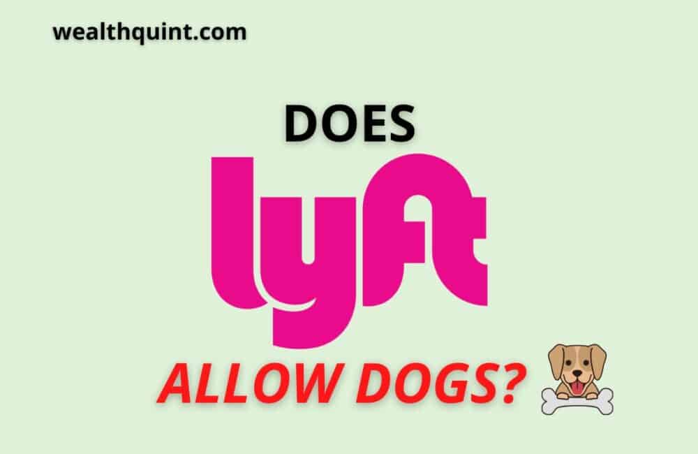 Does Lyft Allow Dogs