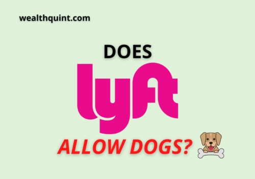 Does Lyft Allow Dogs