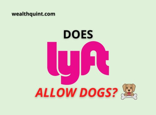 Does Lyft Allow Dogs