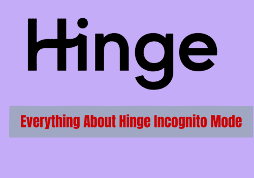Everything About Hinge Incognito Mode