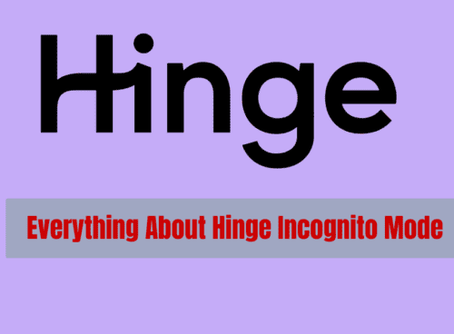 Everything About Hinge Incognito Mode