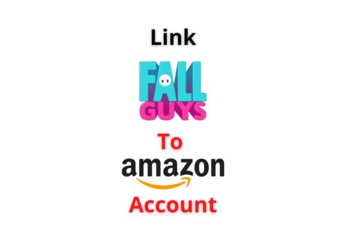 Fall Guys Link Amazon Account