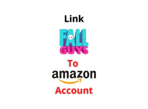 Fall Guys Link Amazon Account