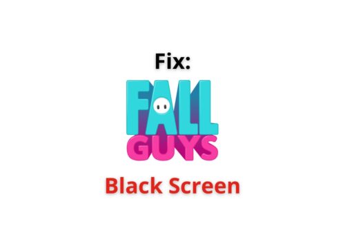 Fall Guys black screen