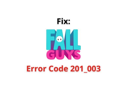 Fall Guys error code 201 003