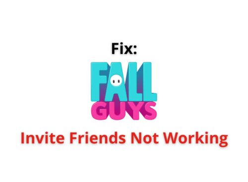 Fall Guys invite friends not working