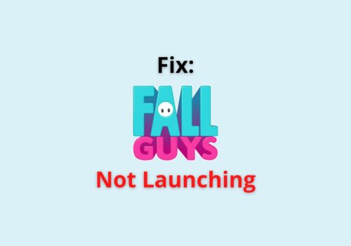 Fall Guys not launching