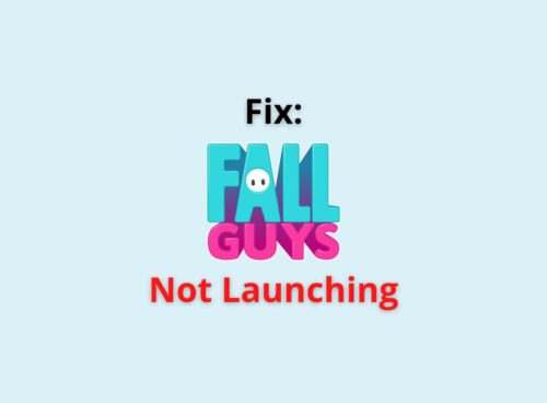 Fall Guys not launching