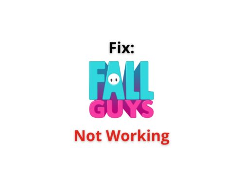 Fall Guys not working