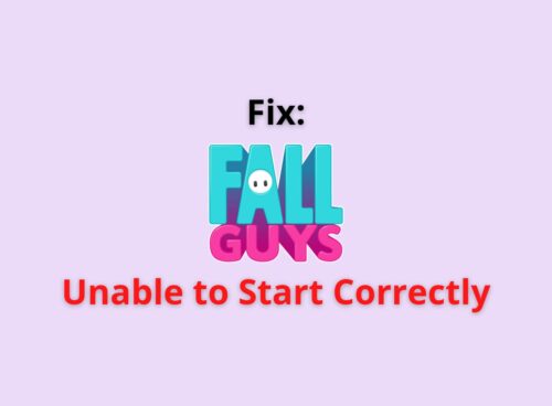 Fall Guys unable to start correctly