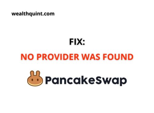 Fix No provider was found Pancakeswap
