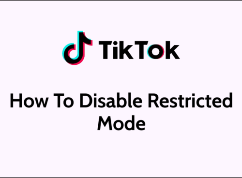 How To Disable Restricted Mode On TikTok