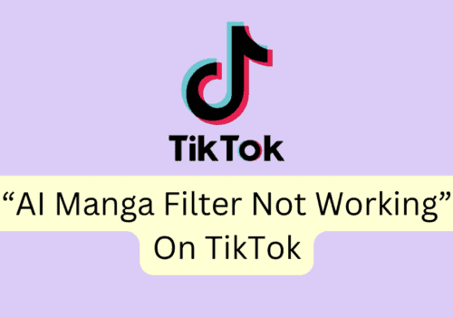 How To Fix AI Manga Filter Not Working On TikTok