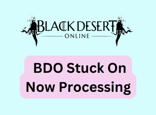 How To Fix BDO Stuck On Now Processing