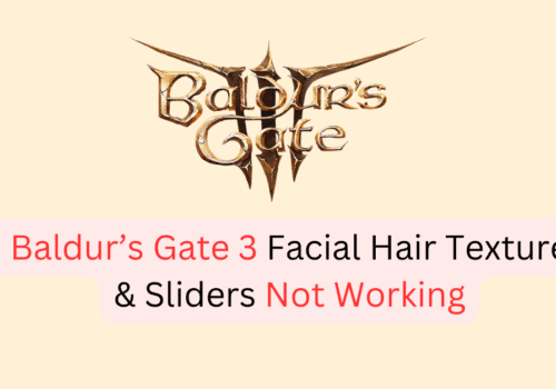 How To Fix Baldur’s Gate 3 Facial Hair Texture & Sliders Not Working