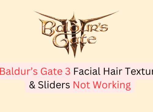 How To Fix Baldur’s Gate 3 Facial Hair Texture & Sliders Not Working