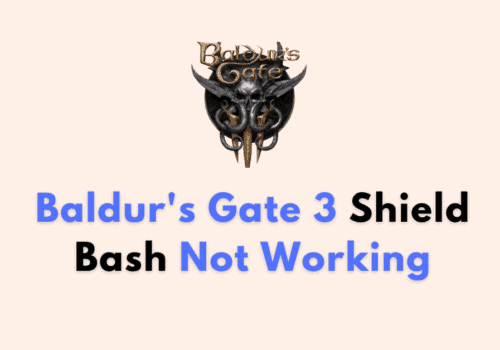 How To Fix Baldur’s Gate 3 Shield Bash Not Working