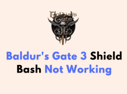 How To Fix Baldur’s Gate 3 Shield Bash Not Working