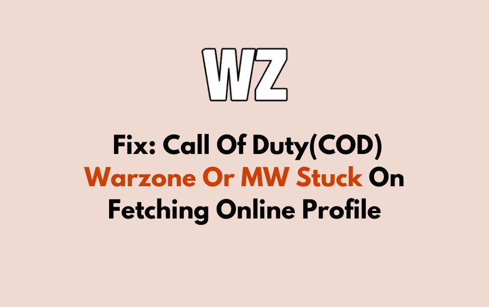 How To Fix Call Of DutyCOD Warzone Or MW Stuck On Fetching Online Profile 1 1