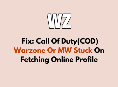 How To Fix Call Of DutyCOD Warzone Or MW Stuck On Fetching Online Profile 1 1