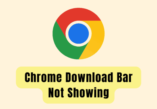 How To Fix Chrome Download Bar Not Showing