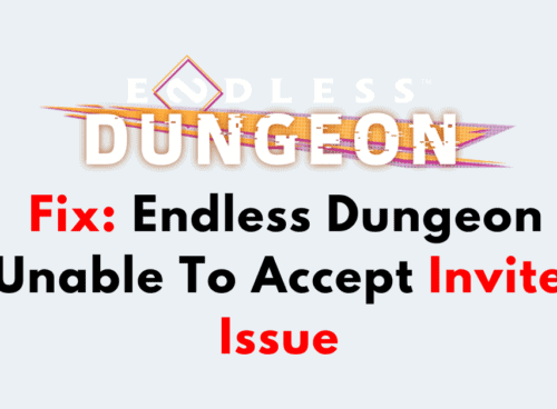 How To Fix Endless Dungeon Unable To Accept Invite Issue