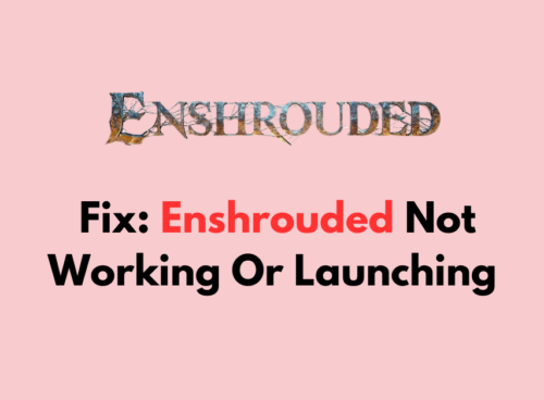 How To Fix Enshrouded Not Working Or Launching