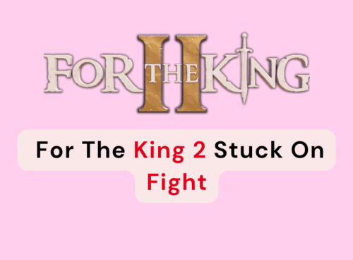 How To Fix For The King 2 Stuck On Fight