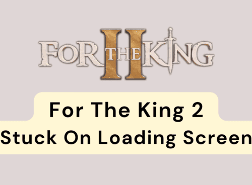 How To Fix For The King 2 Stuck On Loading Screen