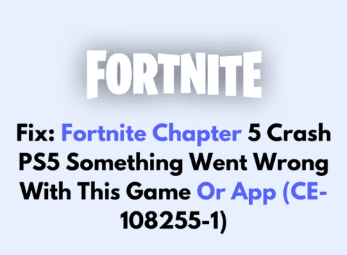 How To Fix Fortnite Chapter 5 Crash PS5 Something Went Wrong With This Game Or App CE 108255 1 1
