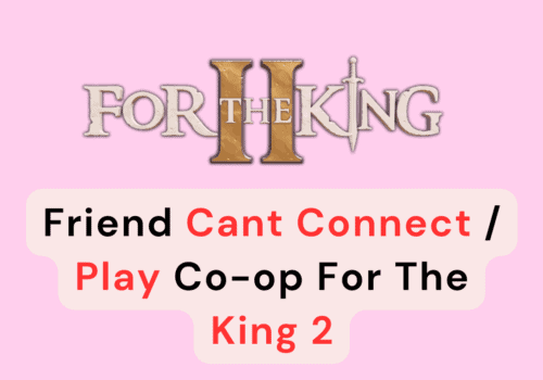 How To Fix Friend Cant Connect Play Co Op For The King 2