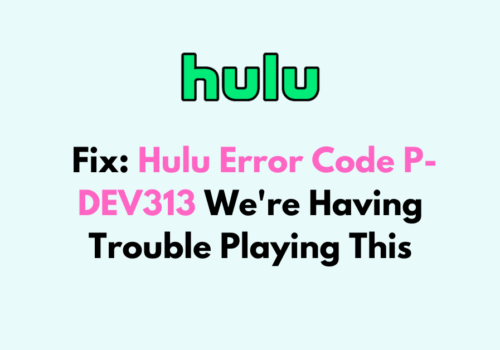 How To Fix Hulu Error Code P DEV313 Were Having Trouble Playing This