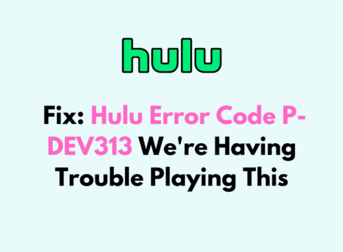 How To Fix Hulu Error Code P DEV313 Were Having Trouble Playing This