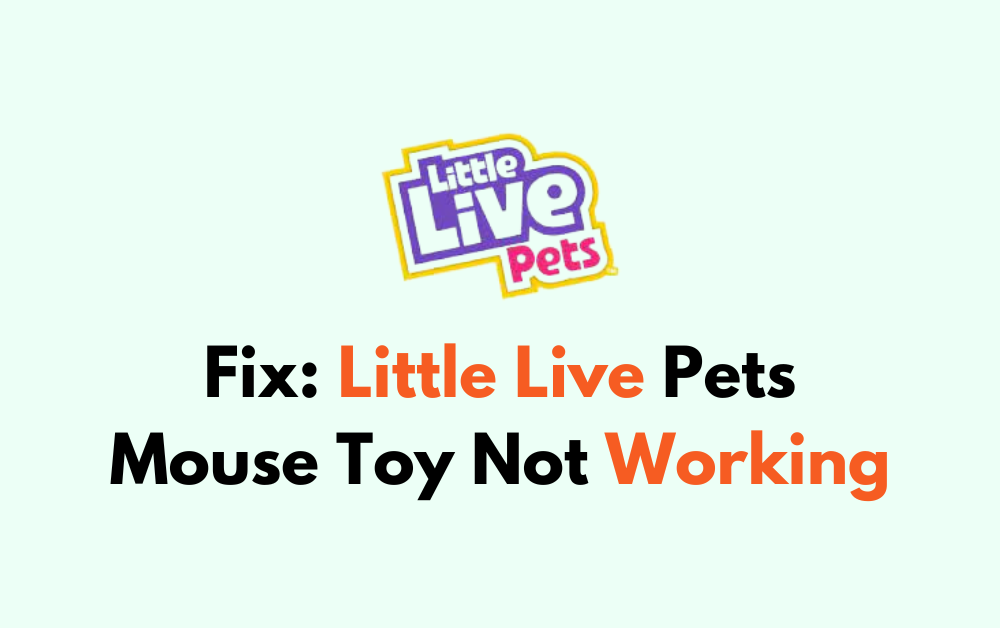How To Fix Little Live Pets Mouse Toy Not Working