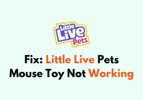 How To Fix Little Live Pets Mouse Toy Not Working