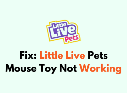 How To Fix Little Live Pets Mouse Toy Not Working