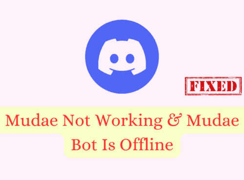 How To Fix Mudae Not Working & Mudae Bot Is Offline
