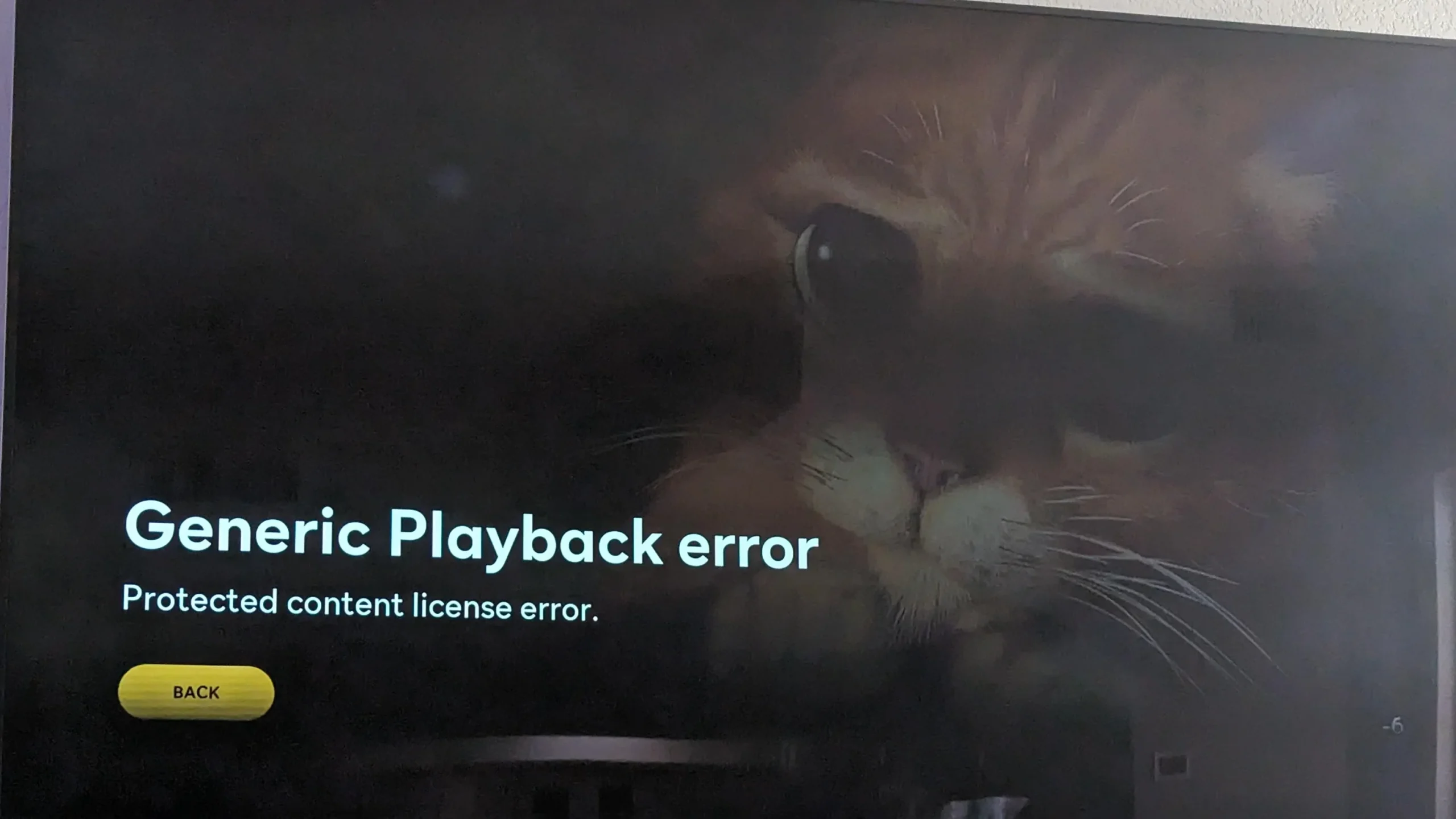 How To Fix Peacock Generic Playback Error Protected Content License Error 2 How To Fix Peacock Generic Playback Error Protected Content License Error edited scaled