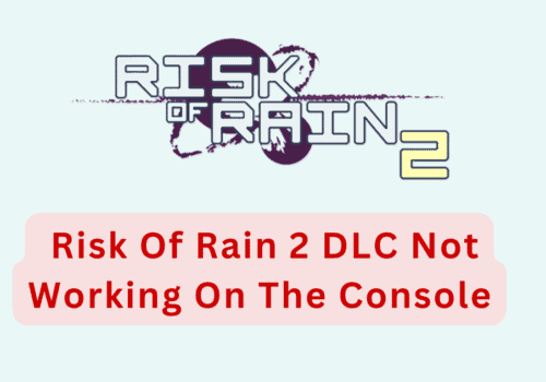 How To Fix Risk Of Rain 2 DLC Not Working On The Console